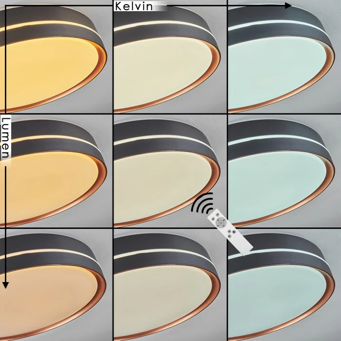 Hofstein Cachalot Deckenleuchte LED Schwarz, Kupferfarben, 1-flammig, Fernbedienung, Farbwechsler – Bild 2