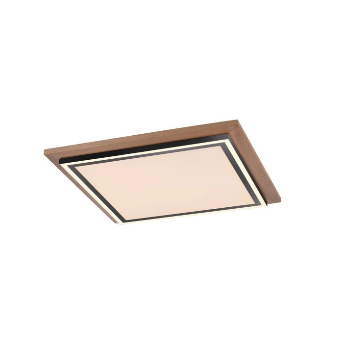 Paul Neuhaus Leuchten Paul Neuhaus PALMA Deckenleuchte LED Schwarz, Naturfarben, 2-flammig, Fernbedienung – Bild 5