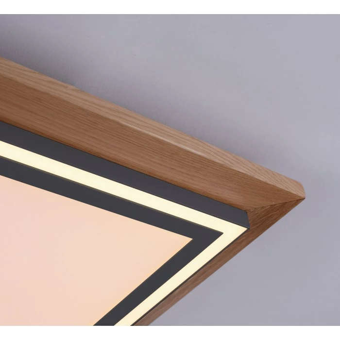 Paul Neuhaus Leuchten Paul Neuhaus PALMA Deckenleuchte LED Schwarz, Naturfarben, 2-flammig, Fernbedienung – Bild 7