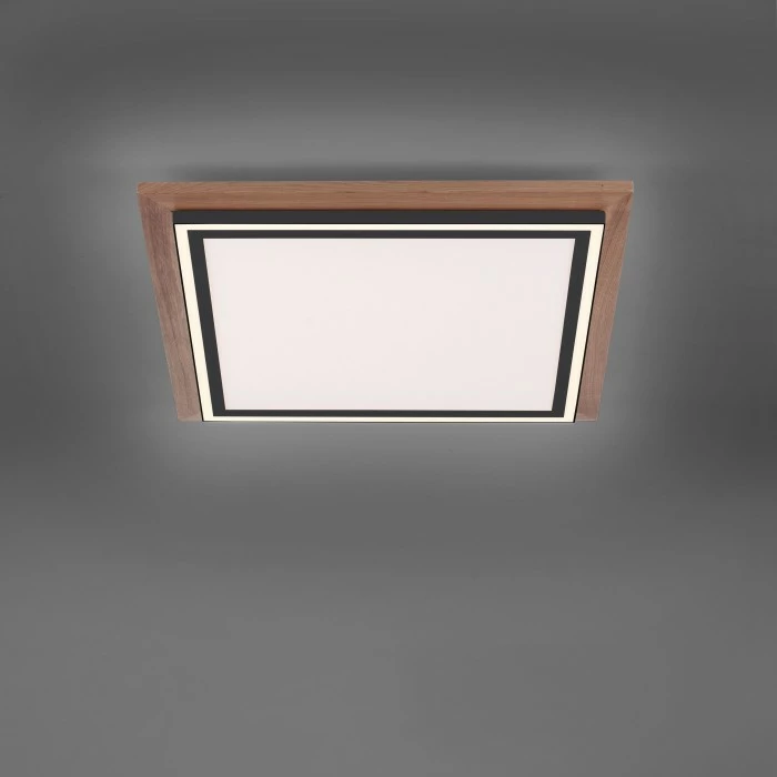 Paul Neuhaus Leuchten Paul Neuhaus PALMA Deckenleuchte LED Schwarz, Naturfarben, 2-flammig, Fernbedienung – Bild 8