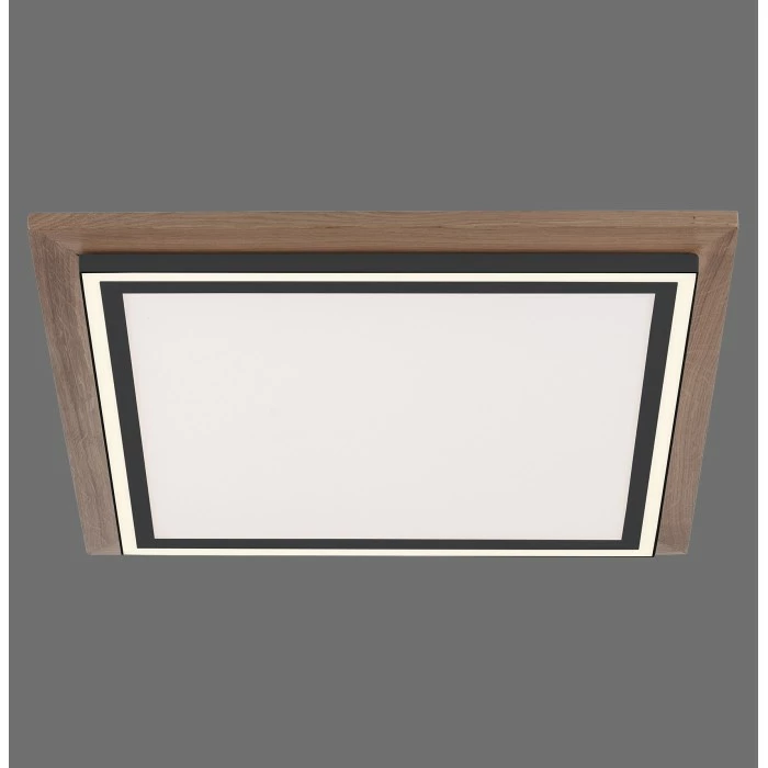 Paul Neuhaus Leuchten Paul Neuhaus PALMA Deckenleuchte LED Schwarz, Naturfarben, 2-flammig, Fernbedienung – Bild 9