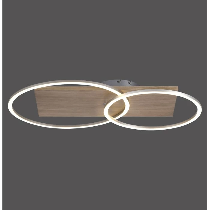 Paul Neuhaus Leuchten Paul Neuhaus PALMA Deckenleuchte LED Stahl gebürstet, Naturfarben, 2-flammig, Fernbedienung – Bild 10