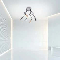 Paul Neuhaus Leuchten Paul Neuhaus PURE-GEMIN Deckenleuchte LED Messing, Schwarz, Aluminium, 6-flammig