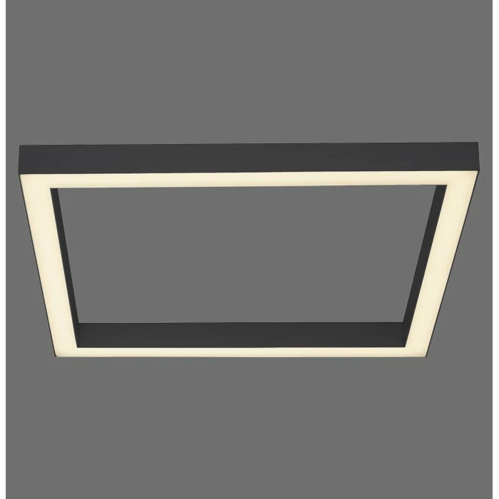 Paul Neuhaus Leuchten Paul Neuhaus PURE-LINES Deckenleuchte LED Anthrazit, 1-flammig, Fernbedienung – Bild 2