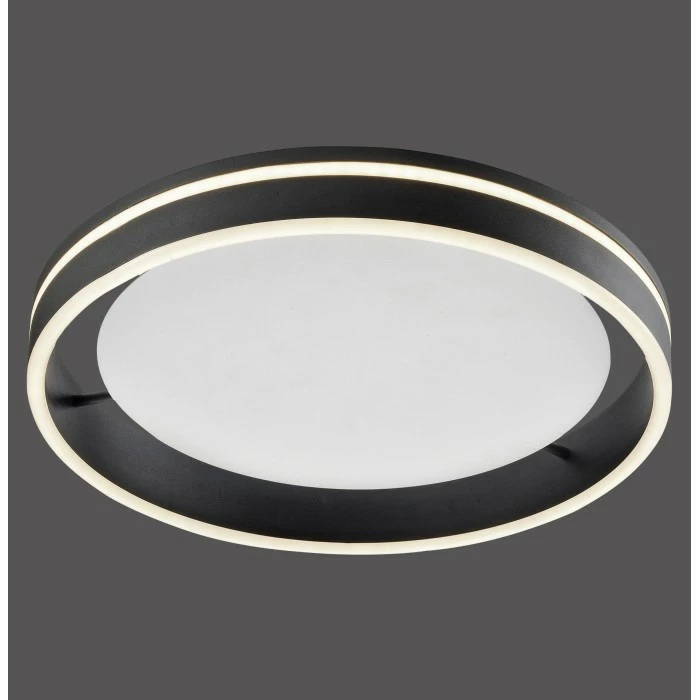 Paul Neuhaus Q-Serie Paul Neuhaus Q-VITO Deckenleuchte LED Anthrazit, 1-flammig, Fernbedienung – Bild 2