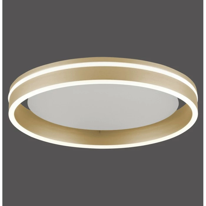 Paul Neuhaus Q-Serie Paul Neuhaus Q-VITO Deckenleuchte LED Messing, 1-flammig, Fernbedienung – Bild 10