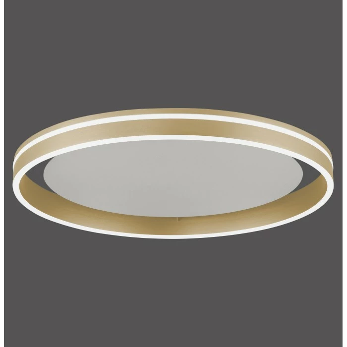 Paul Neuhaus Q-Serie Paul Neuhaus Q-VITO Deckenleuchte LED Messing, 1-flammig, Fernbedienung – Bild 11