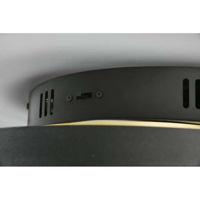 Trio Leuchten Trio Caya Deckenleuchte LED Messing, Schwarz, 1-flammig – Bild 11