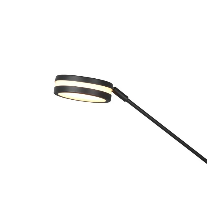 Trio Leuchten Franklin Deckenfluter LED Anthrazit, 2-flammig – Bild 4